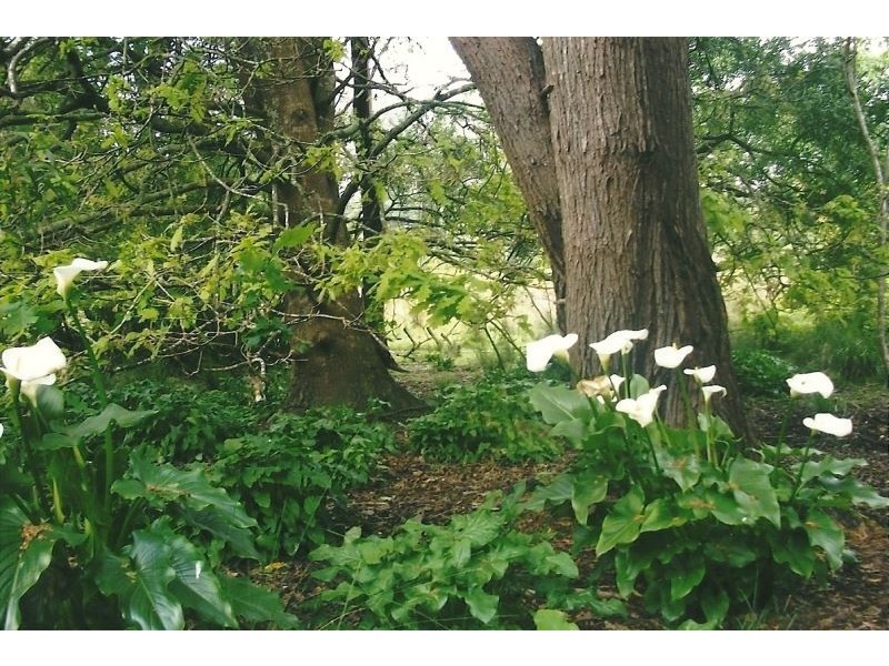 361 Lalla Road, Lalla TAS 7267