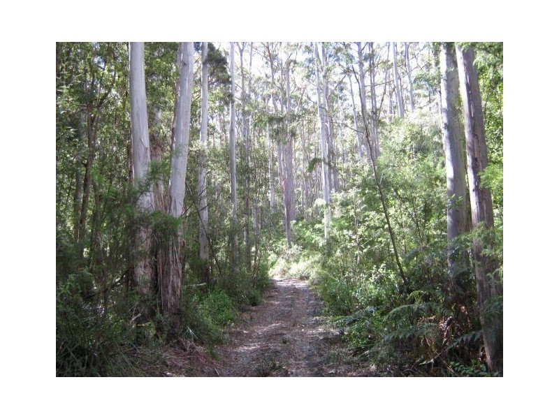 691 & 67 Brown Mountain Road & Wolfes Road, Underwood TAS 7268