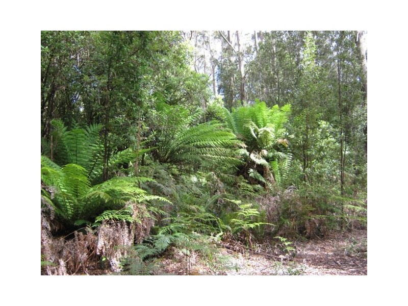 691 & 67 Brown Mountain Road & Wolfes Road, Underwood TAS 7268