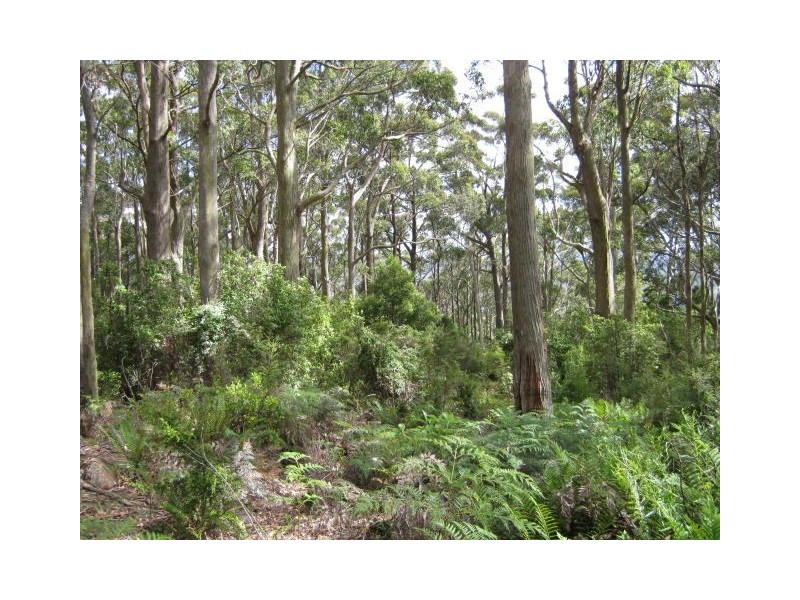 691 & 67 Brown Mountain Road & Wolfes Road, Underwood TAS 7268