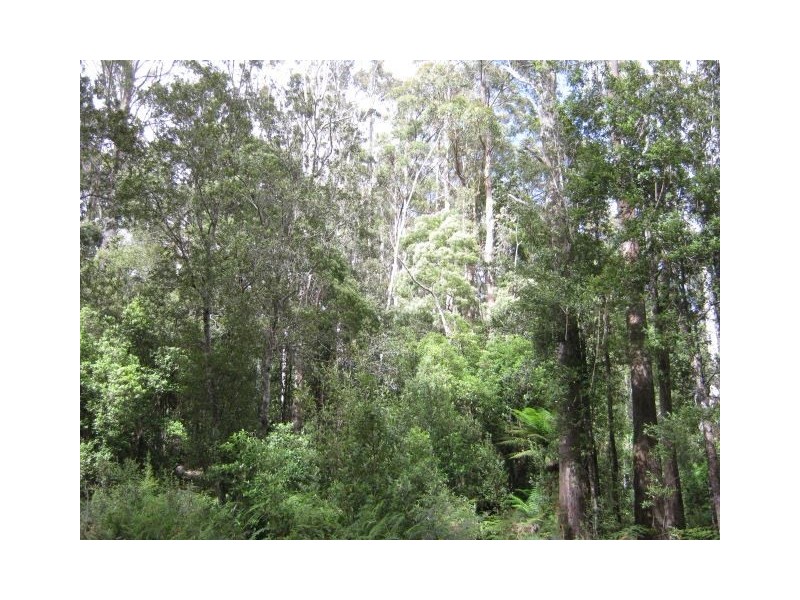 691 & 67 Brown Mountain Road & Wolfes Road, Underwood TAS 7268