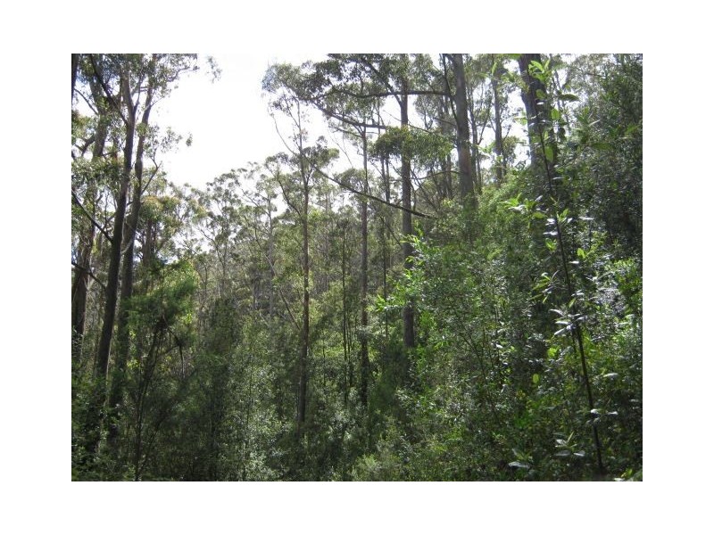 691 & 67 Brown Mountain Road & Wolfes Road, Underwood TAS 7268