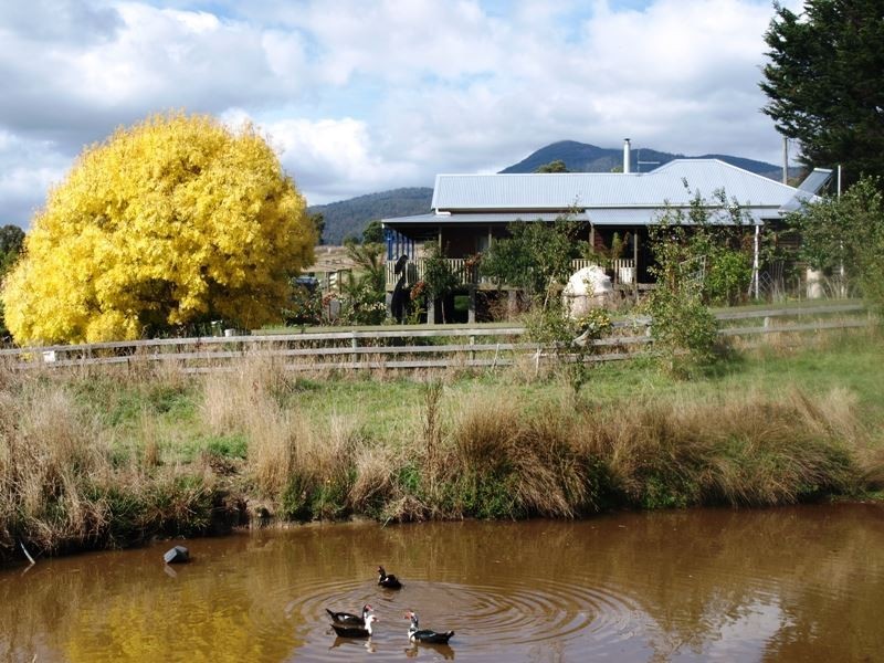 82 Lalla Road, Lilydale TAS 7268