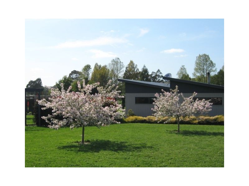 16 Hextalls Road, Lebrina TAS 7254