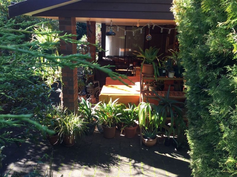 3 Ethel Street, Scottsdale TAS 7260