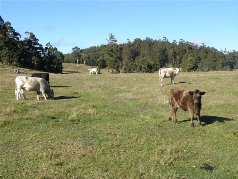 - Peddles Road, Legerwood TAS 7263