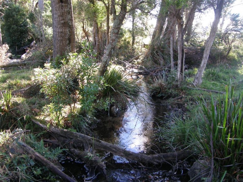 - Peddles Road, Legerwood TAS 7263