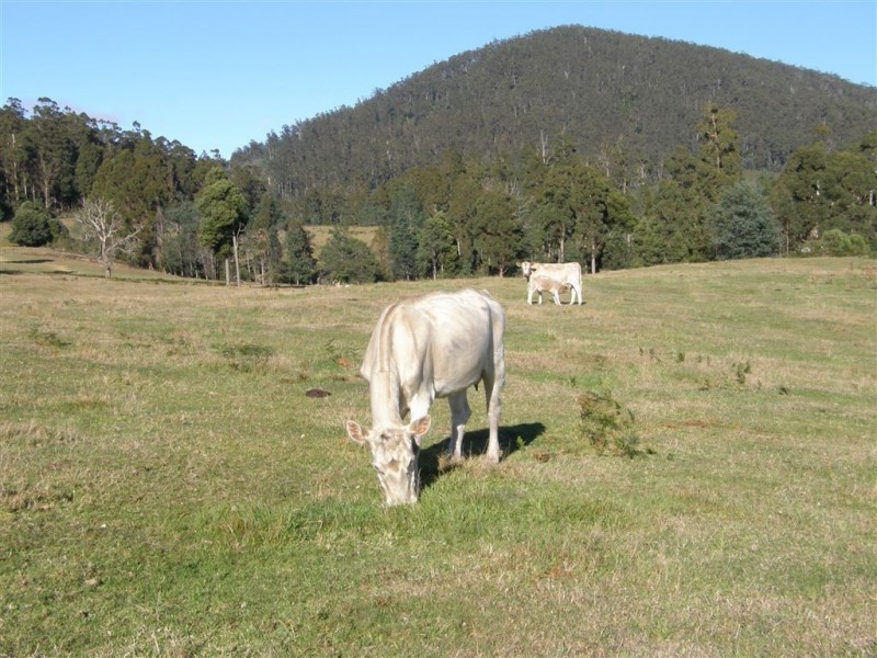 - Peddles Road, Legerwood TAS 7263