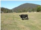 - Peddles Road, Legerwood TAS 7263