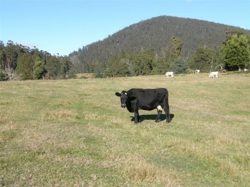 - Peddles Road, Legerwood TAS 7263