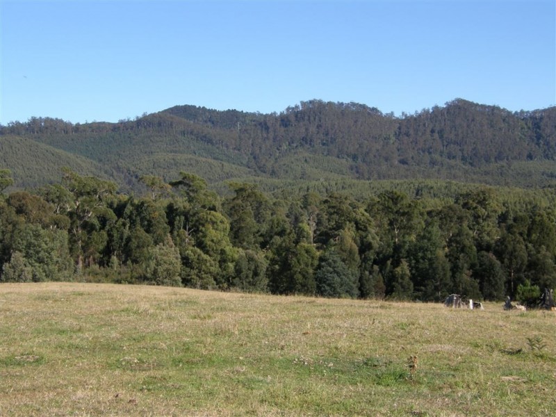 - Peddles Road, Legerwood TAS 7263