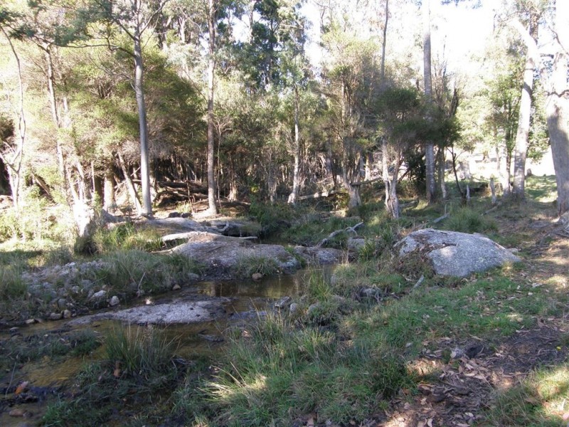 - Peddles Road, Legerwood TAS 7263