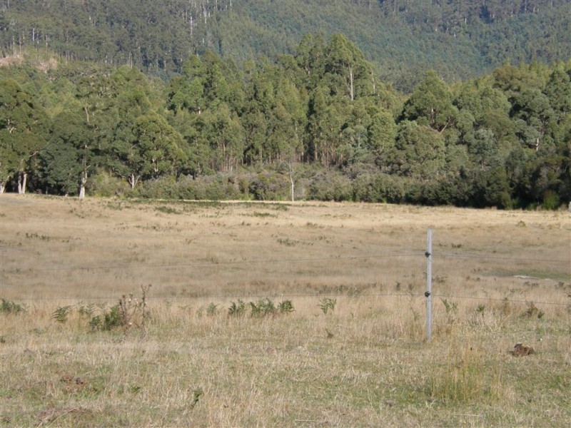 - Peddles Road, Legerwood TAS 7263