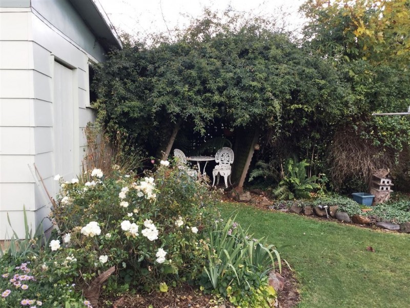 16 East Maurice Road, Ringarooma TAS 7263