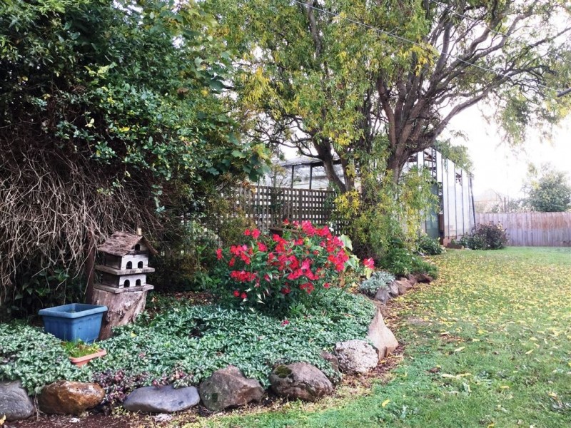 16 East Maurice Road, Ringarooma TAS 7263