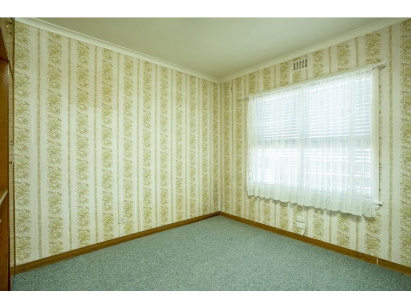 7 Mary Street, Scottsdale TAS 7260