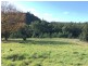 11 Esplanade, Derby TAS 7264