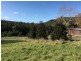 11 Esplanade, Derby TAS 7264