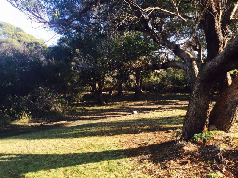 2 Tomahawk Drive, Tomahawk TAS 7262