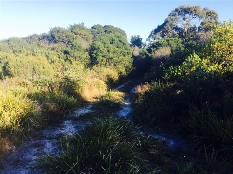 2 Tomahawk Drive, Tomahawk TAS 7262