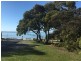 97 Bentley Street, Bridport TAS 7262
