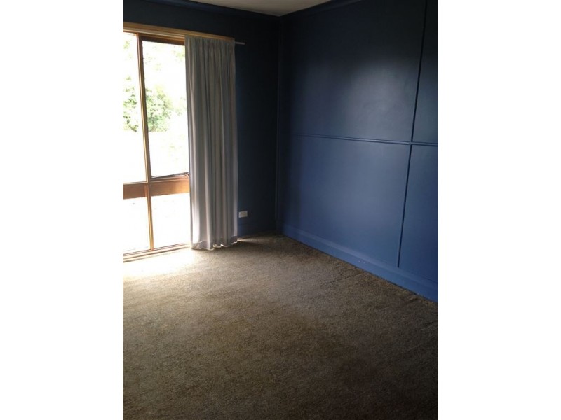 7 Ruby Flats Road, Ringarooma TAS 7263