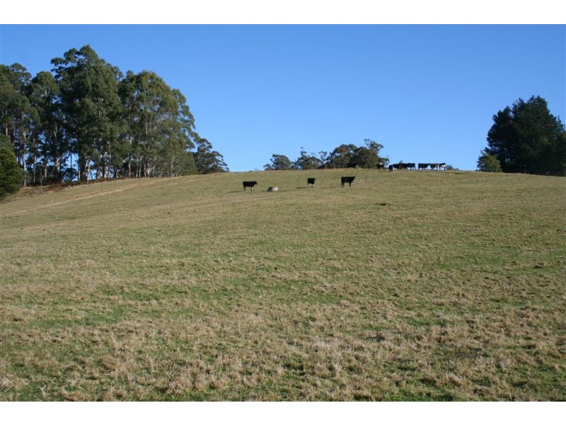Lot 3 Haas Road, Legerwood TAS 7263
