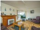 16 Ada street, Scottsdale TAS 7260