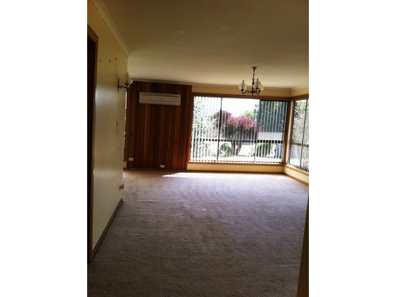 8 Beattie St, Scottsdale TAS 7260