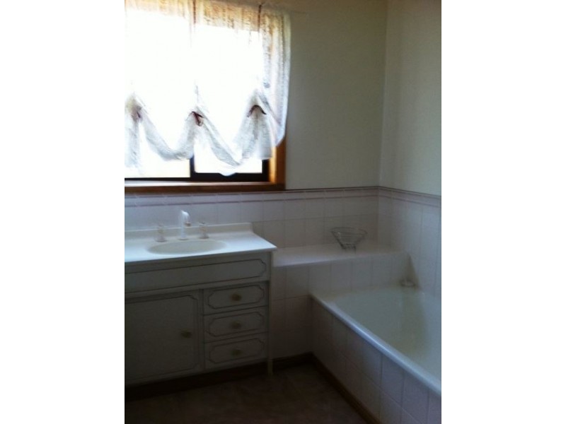 8 Beattie St, Scottsdale TAS 7260