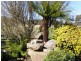 126 Denison Gorge Road, Lebrina TAS 7254