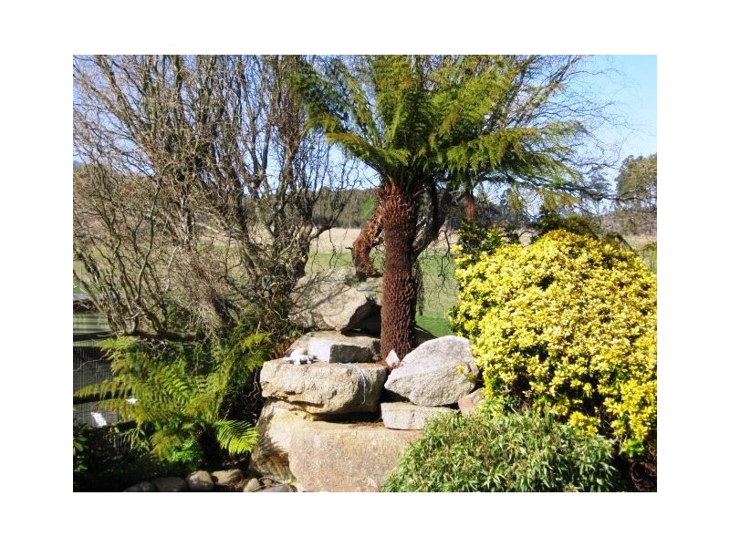 126 Denison Gorge Road, Lebrina TAS 7254