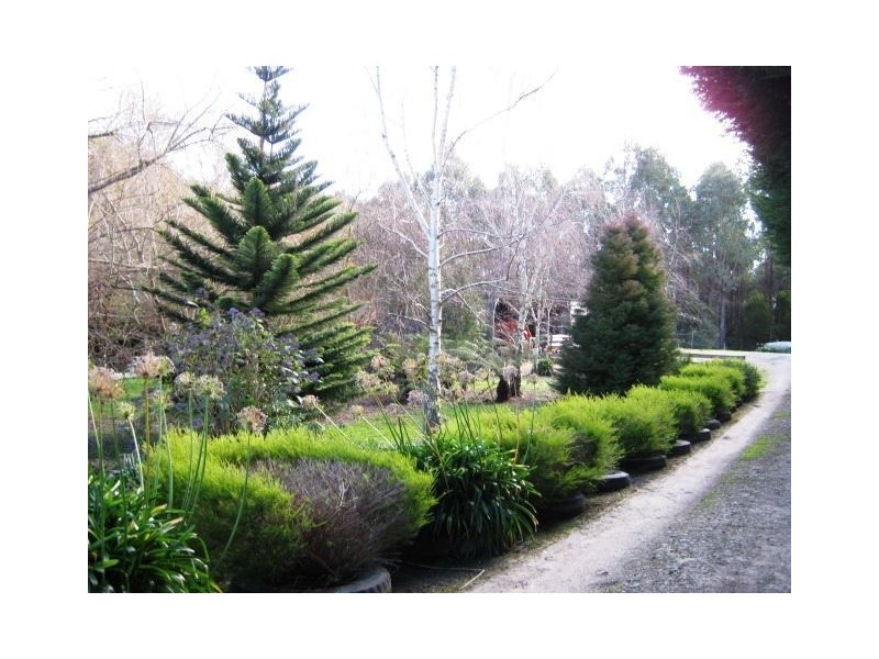 126 Denison Gorge Road, Lebrina TAS 7254