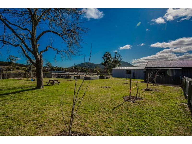 169 Cuckoo Road, Scottsdale TAS 7260