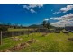 169 Cuckoo Road, Scottsdale TAS 7260