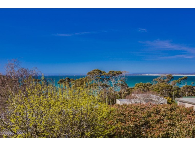 34 Westwood Street, Bridport TAS 7262