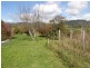 169 South Springfield Road, Springfield TAS 7260