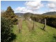 169 South Springfield Road, Springfield TAS 7260