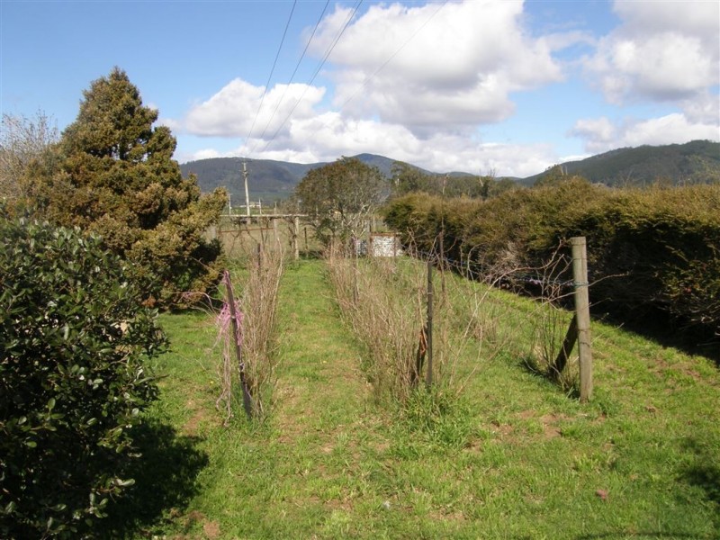 169 South Springfield Road, Springfield TAS 7260