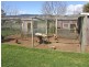 169 South Springfield Road, Springfield TAS 7260