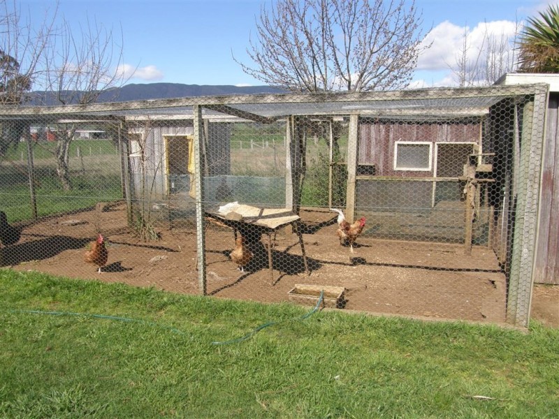 169 South Springfield Road, Springfield TAS 7260