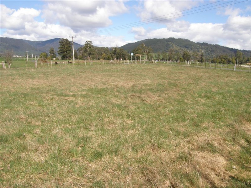 169 South Springfield Road, Springfield TAS 7260