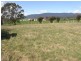 169 South Springfield Road, Springfield TAS 7260