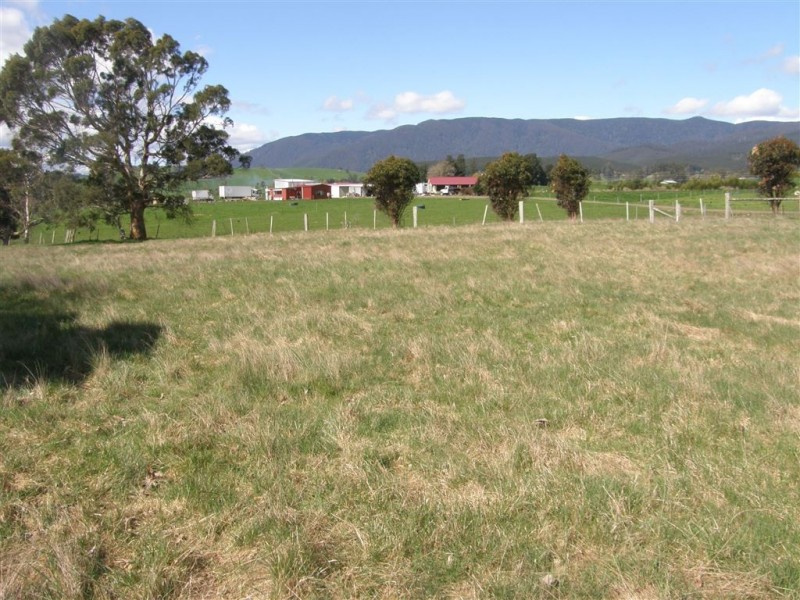 169 South Springfield Road, Springfield TAS 7260
