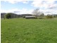 169 South Springfield Road, Springfield TAS 7260