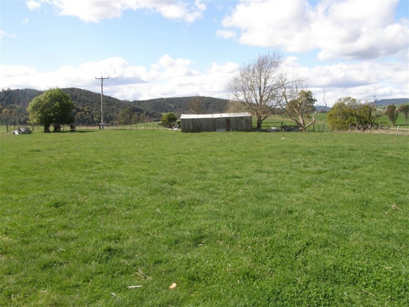 169 South Springfield Road, Springfield TAS 7260