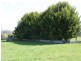 169 South Springfield Road, Springfield TAS 7260
