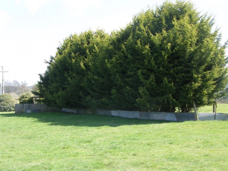 169 South Springfield Road, Springfield TAS 7260