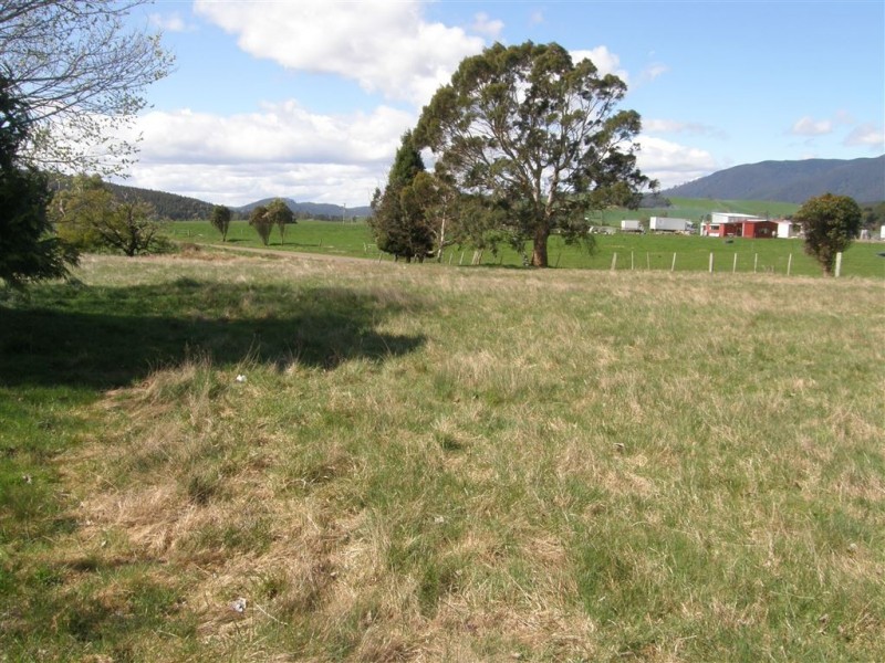 169 South Springfield Road, Springfield TAS 7260