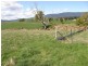 169 South Springfield Road, Springfield TAS 7260